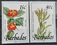 [Wild Plants, Tipe YI]