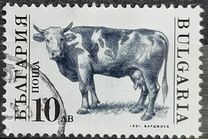 [Domestic Animals, タイプ EKL]