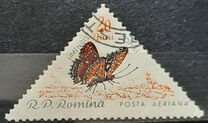 [Butterflies & Moths, type BTH]