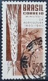 [The 100th Anniversary of the Brazilian Ministry of Agriculture, тып AJR]
