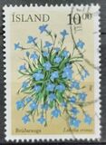 [Summer Flowers, type ACM]