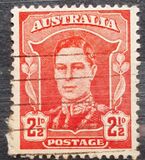 [Definitives, Вид AR]