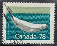 [Canadian Mammals, tip AOK]