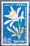 [The 12th Anniversary of Independence. Flowers, type GL]