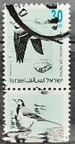 [Songbirds, type ATC]