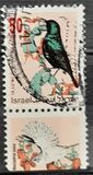 [Songbirds, type ATJ]