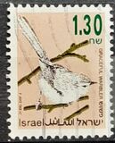 [Songbirds, type AUG]