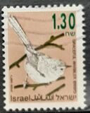 [Songbirds, type AUG]