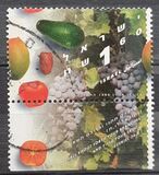 [Israeli Fruit Production, type AYR]