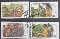 [Banana Cultivation, 유형 AD]