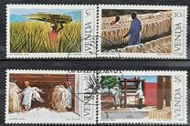 [Sisal Cultivation, 类型 BB]