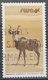 [Wild Mammals, type HN]