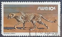 [Wild Mammals, タイプ HR]