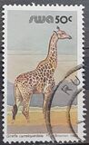 [Wild Mammals, ประเภท HW]