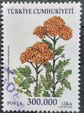 [Plants, type CUJ]