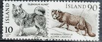 [Fauna - Icelandic Dog and Arctic Fox, type LN]