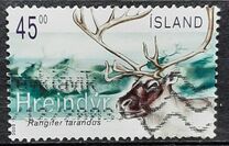 [Reindeer, タイプ ADP]