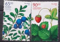 [Wild Berries, type AFX]