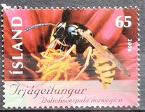 [Insects, type AHG]