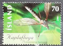 [Insects, type AIL]
