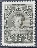 [Royal Family, 類型 AW]