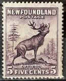 [Newfoundland Issue, loại DS]