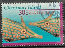 [Fish, type OM]