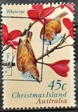 [Christmas Island Land Birds, տեսակ OP]
