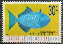 [Fish, ประเภท ML]