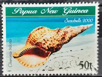 [Sea Shells, tip AED]