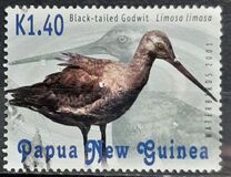 [Water Birds, type AFA]