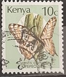 [Butterflies, タイプ RQ]