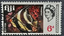 [Local Motives and Queen Elizabeth II, type DS]