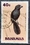 [Birds, type VL]