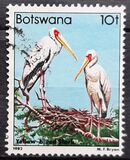 [Birds, Tipi KU]