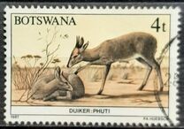 [Animals of Botswana, タイプ OP]