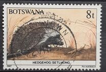 [Animals of Botswana, タイプ OS]