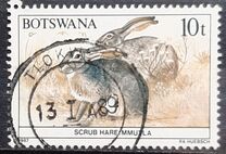[Animals of Botswana, タイプ OT]