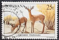 [Animals of Botswana, タイプ OX]