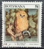 [Birds, type XE]