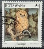 [Birds, type XE]