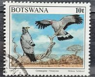 [Birds, type XF]