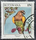 [Birds, type XG]