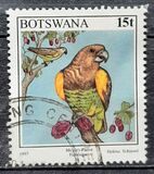 [Birds, type XG]