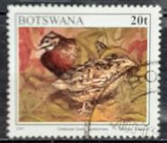 [Birds, type XH]