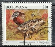 [Birds, type XH]