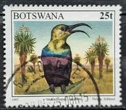 [Birds, type XI]
