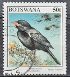 [Birds, type XL]