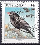 [Birds, type XL]