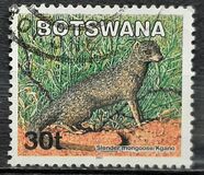 [Mammals, type ABV]